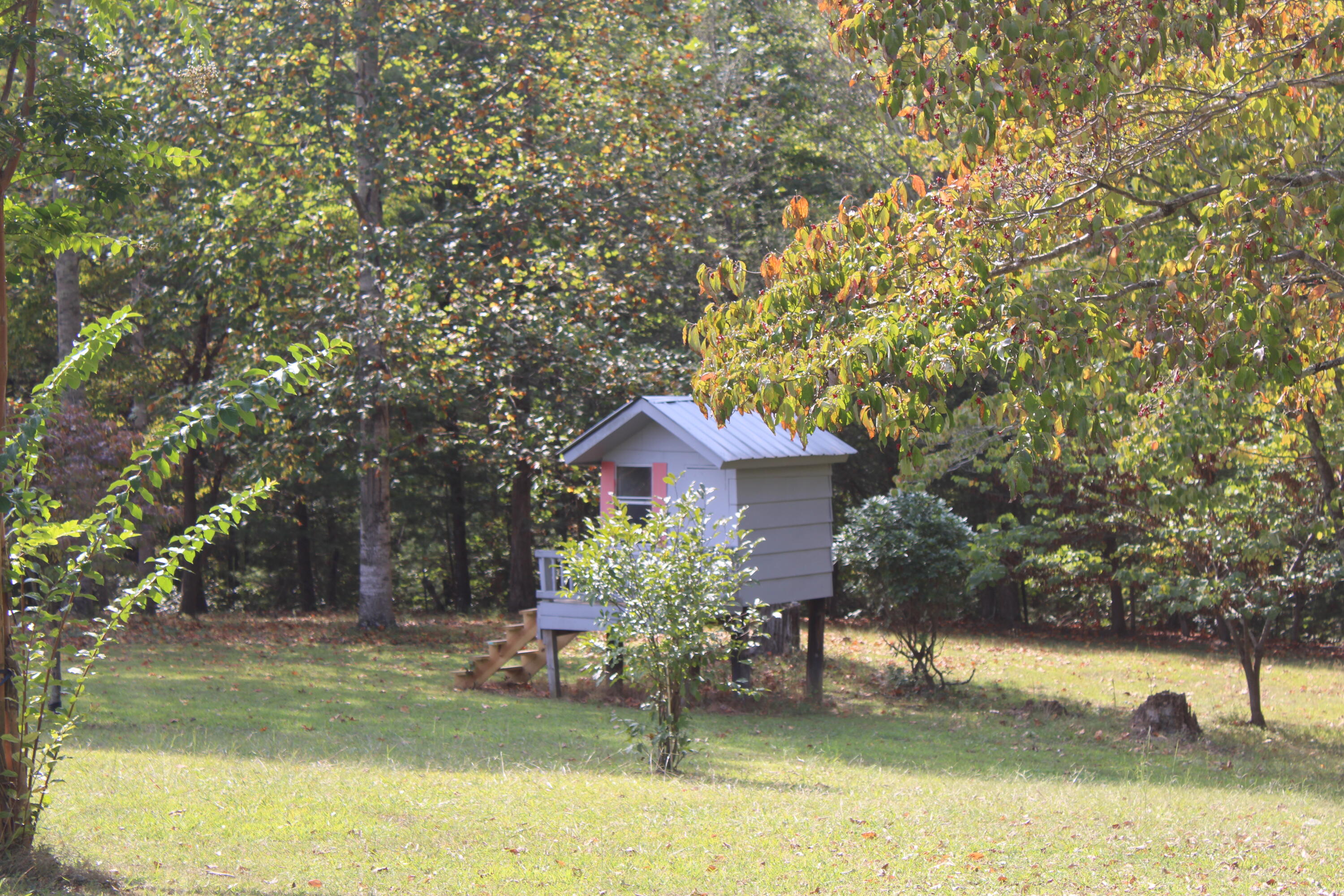 6969 Dogwood Road Grandview, TN 37337 - Photo 8 of 70 Club House