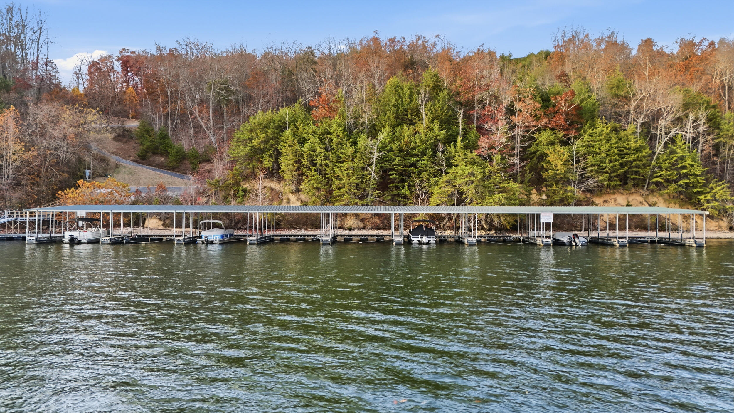 150 Quail Holw Cove Spring City, TN 37381 - Photo 9 of 14 community-boat slips-5