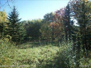 V/l Mt Morris Road Columbiaville, MI 48421 - Photo 10 of 11 mt morris 11