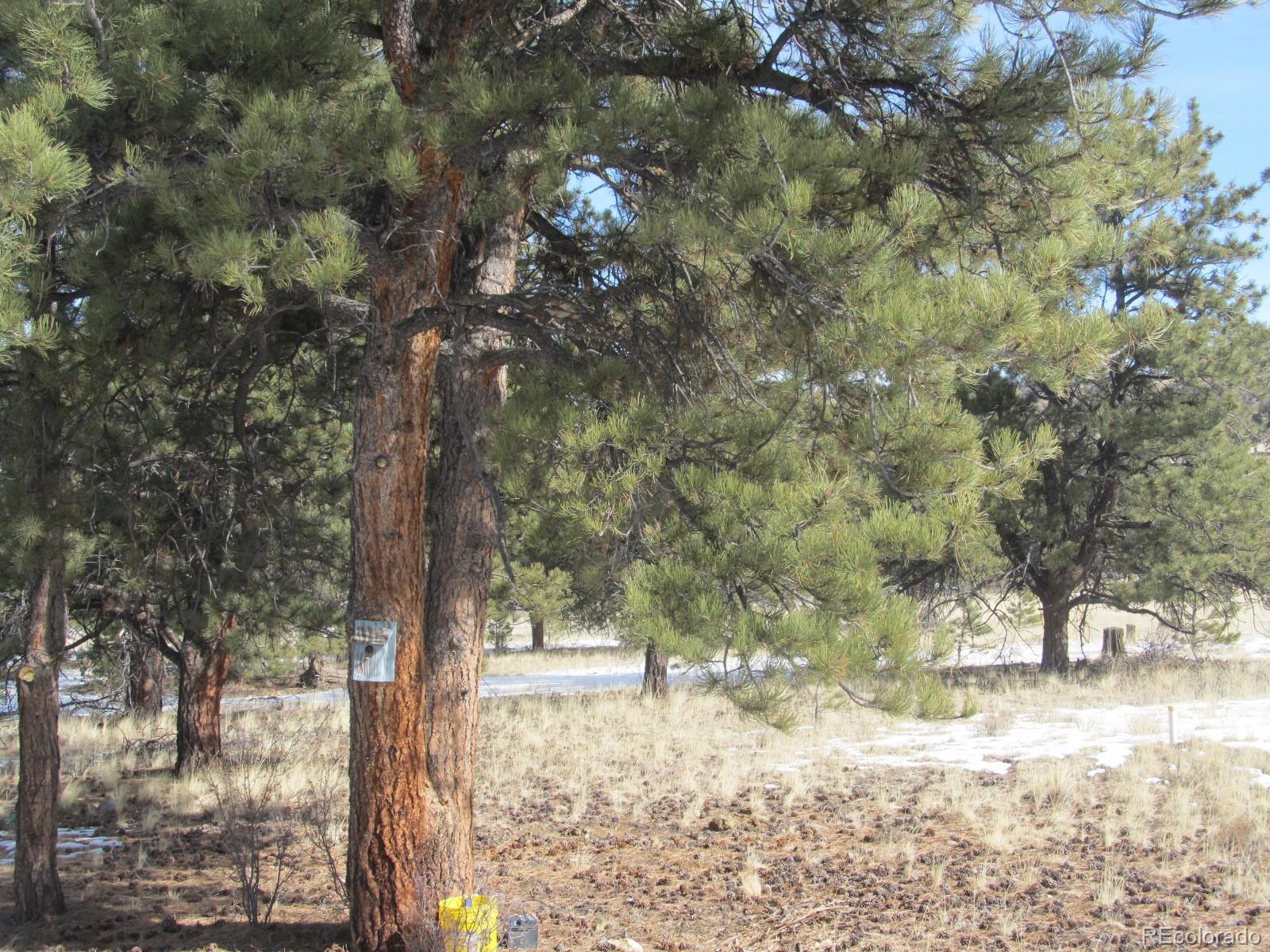 192 Maricopa Trail Hartsel, CO 80449 - Photo 20 of 27