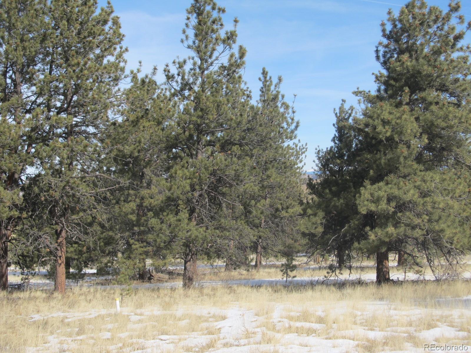 192 Maricopa Trail Hartsel, CO 80449 - Photo 22 of 27