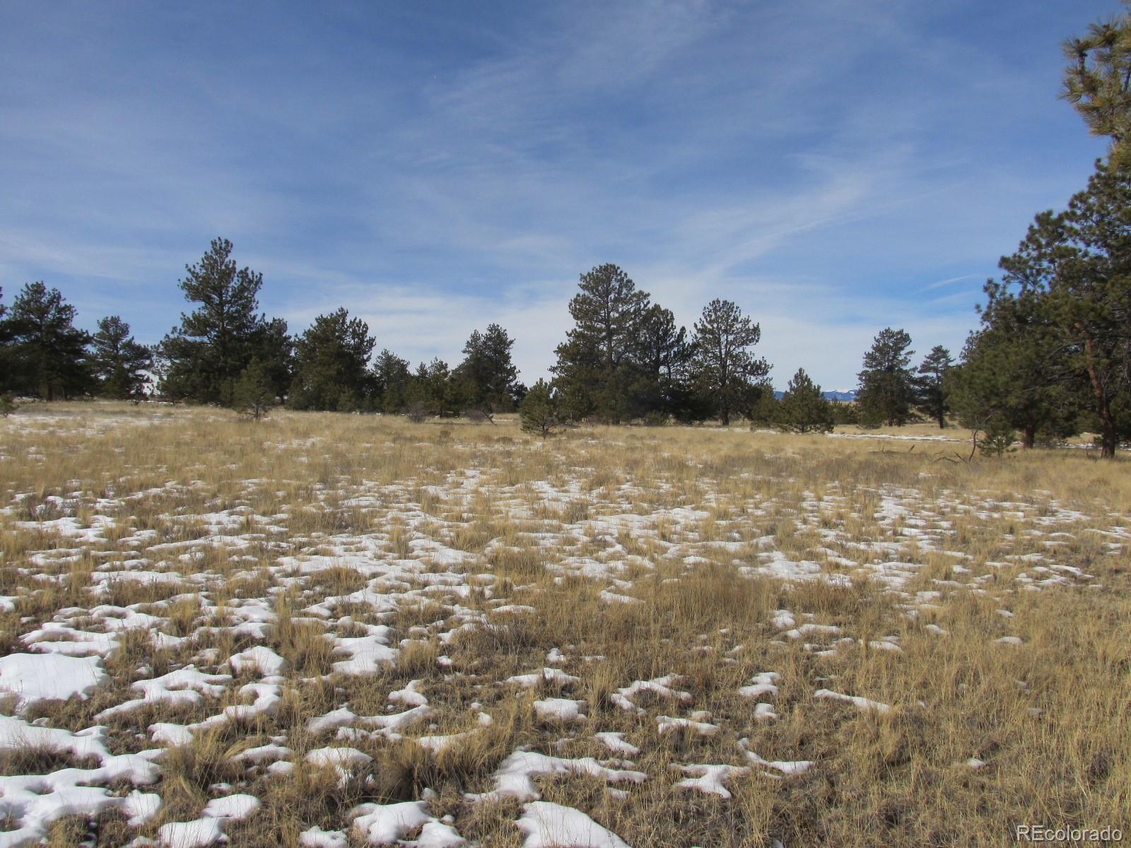 192 Maricopa Trail Hartsel, CO 80449 - Photo 24 of 27