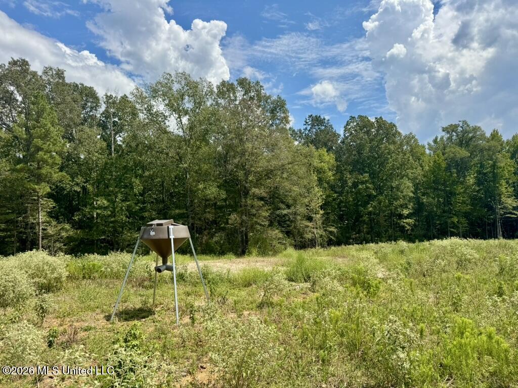 1 Chapel Hill Road Utica, MS 39175 - Photo 106 of 107 FF83F955-E2D5-415A-80CE-B576B9225811_1_1