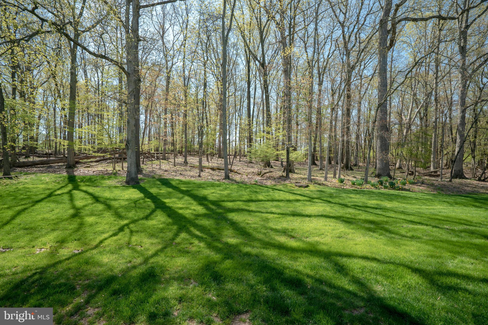 267 Creek Road Doylestown, PA 18901 - Photo 50 of 50