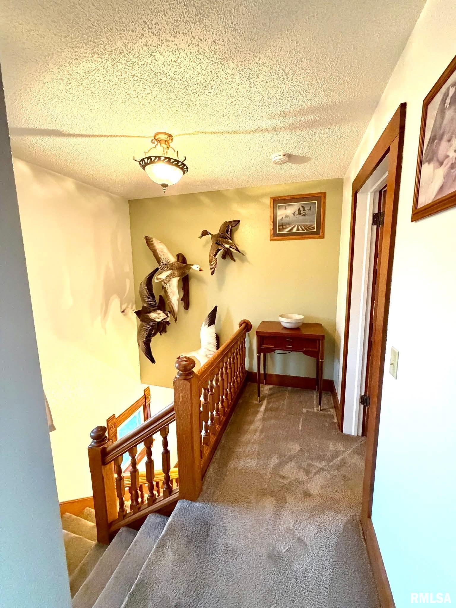 1255 East Chestnut Street Canton, IL 61520 - Photo 26 of 53