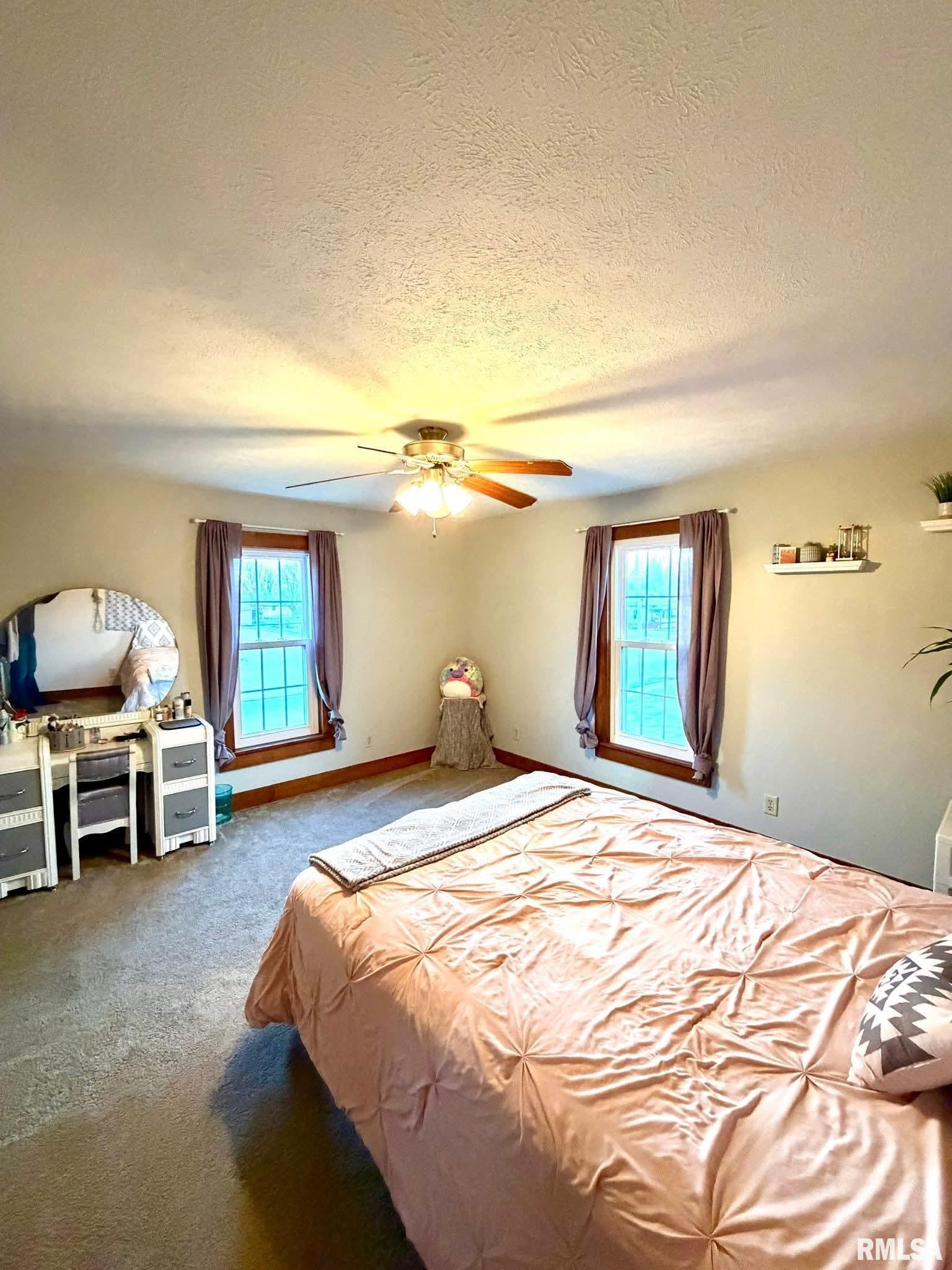 1255 East Chestnut Street Canton, IL 61520 - Photo 27 of 53