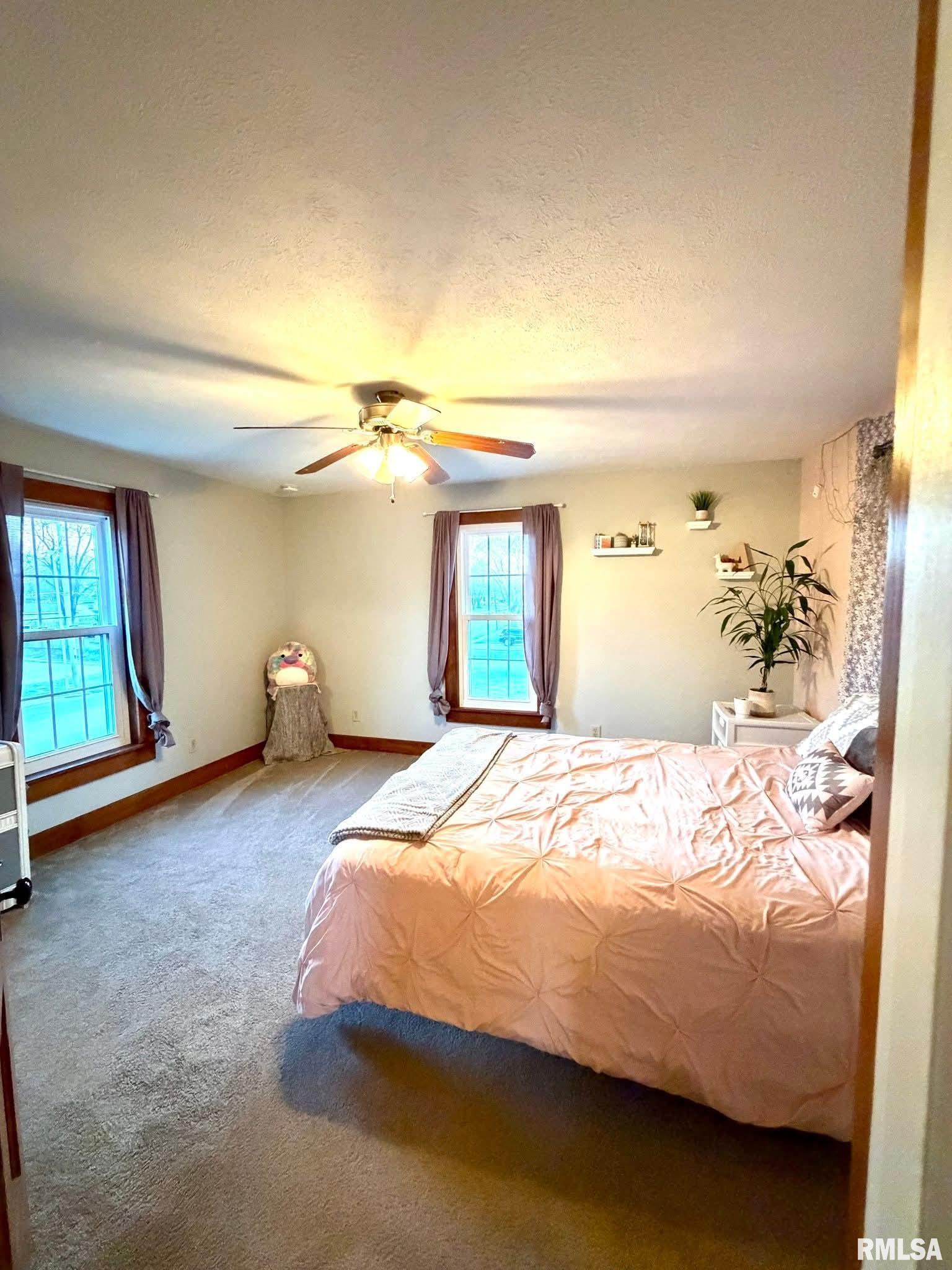 1255 East Chestnut Street Canton, IL 61520 - Photo 28 of 53