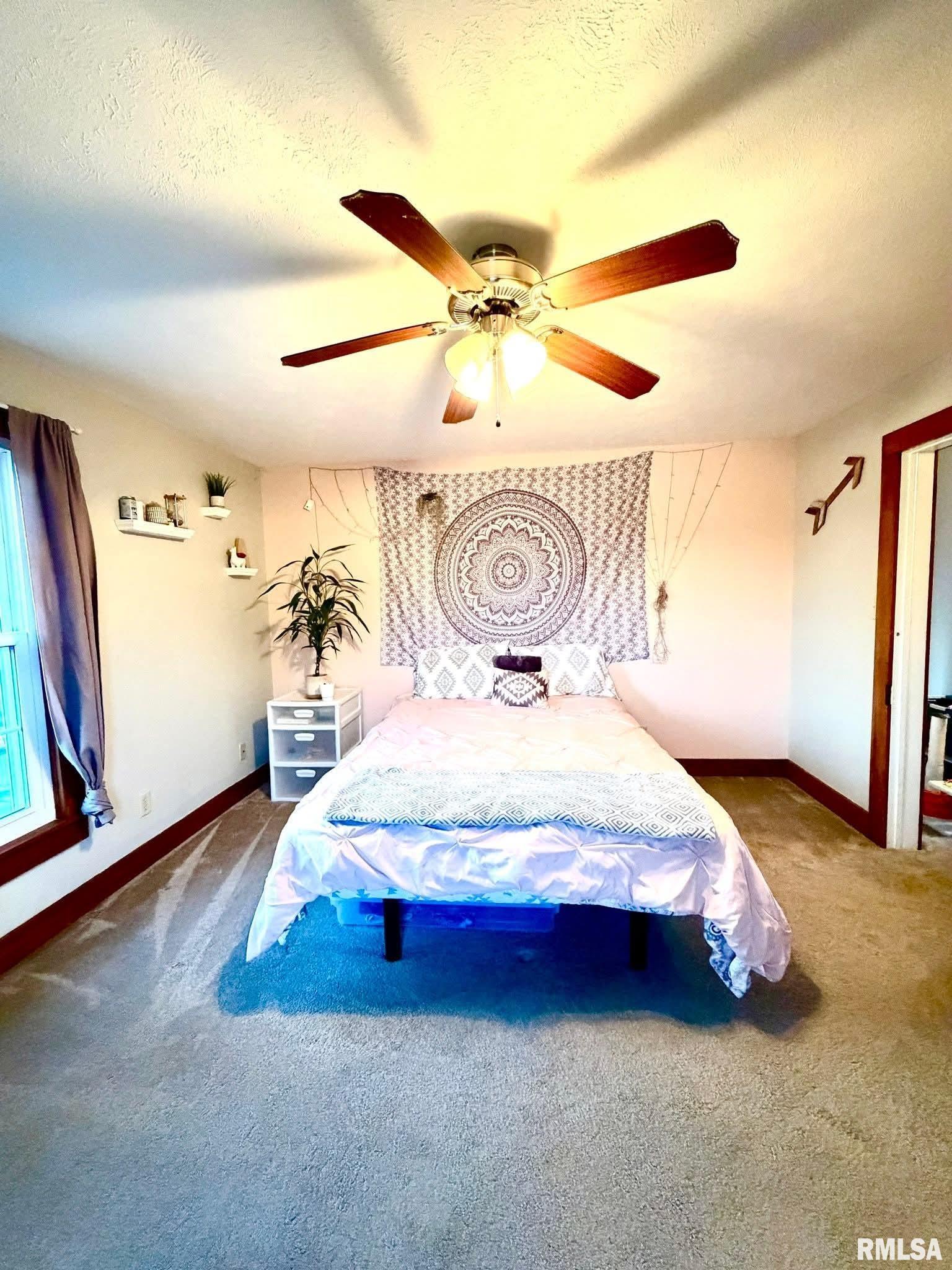 1255 East Chestnut Street Canton, IL 61520 - Photo 30 of 53