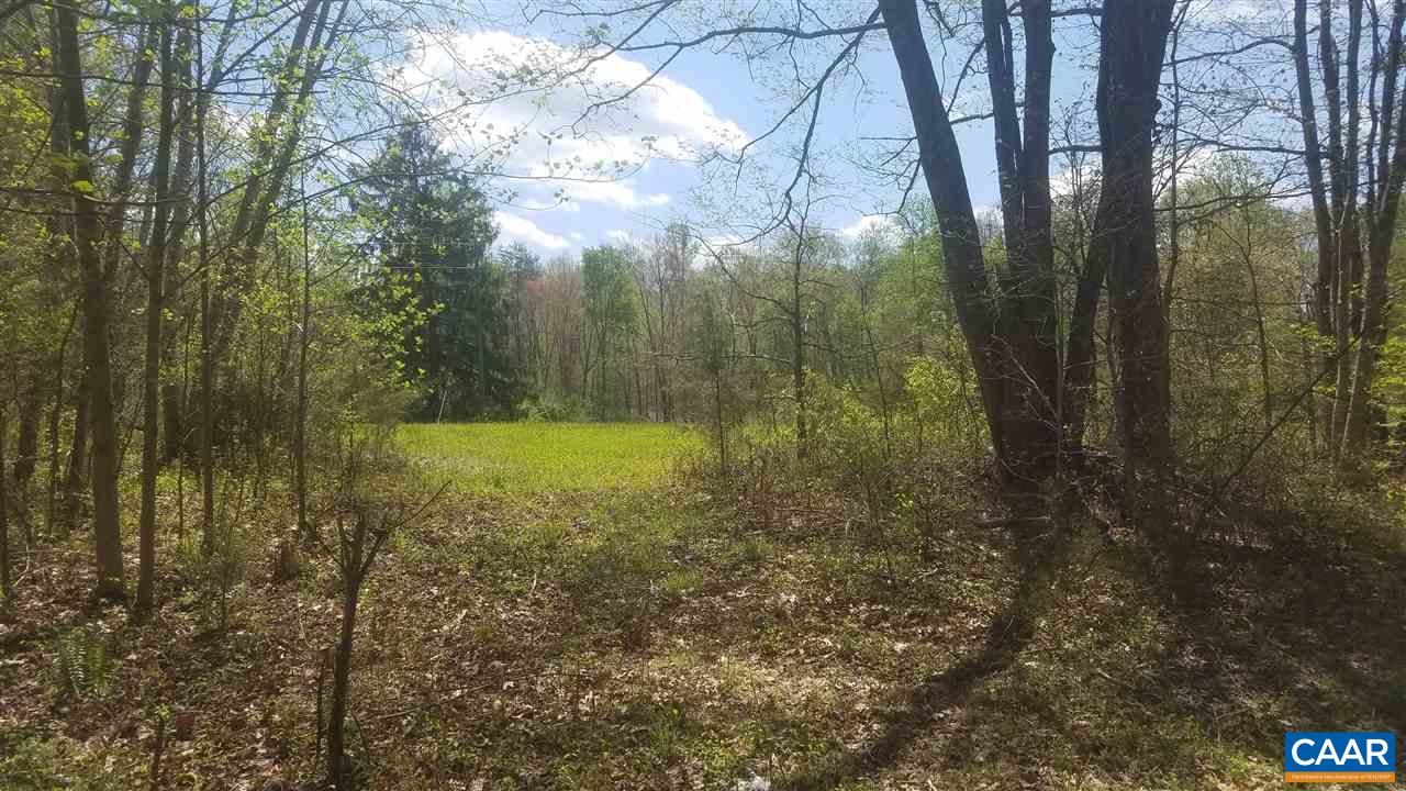 31472 Russel Road Locust Grove, VA 22508 - Photo 3 of 12 Gallery Image 3