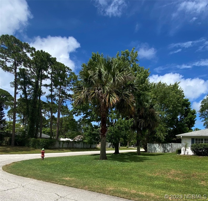 1603 Willow Oak Drive Edgewater, FL 32132 - Photo 3 of 26 a view of a park with large trees