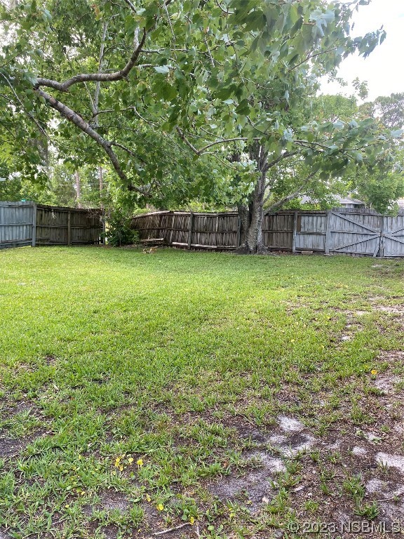 1603 Willow Oak Drive Edgewater, FL 32132 - Photo 9 of 26 a backyard of a house with lots of plants and large tree