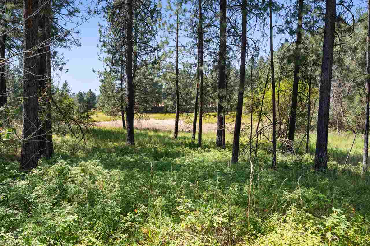 22802 North Crescent Road Colbert, WA 99005 - Photo 44 of 47