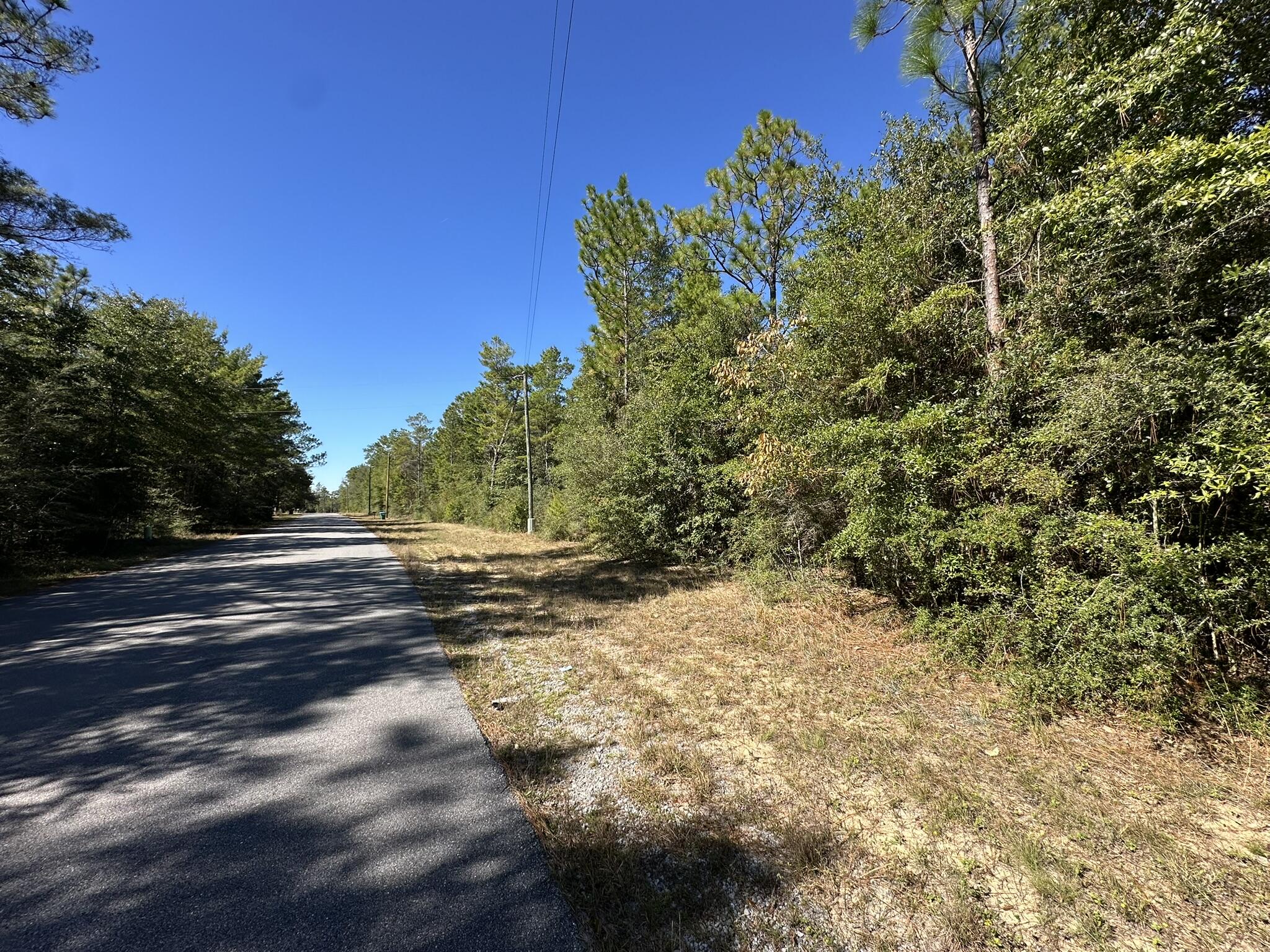 Tbd Bear Head Road Crestview, FL 32539 - Photo 11 of 14 a view of a yard with trees