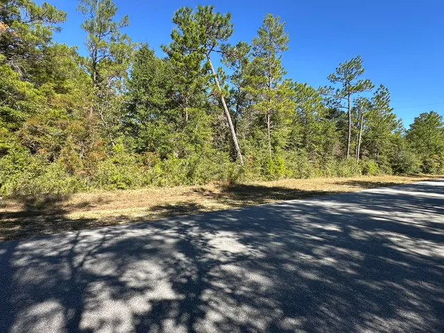 a view of a yard with a tree