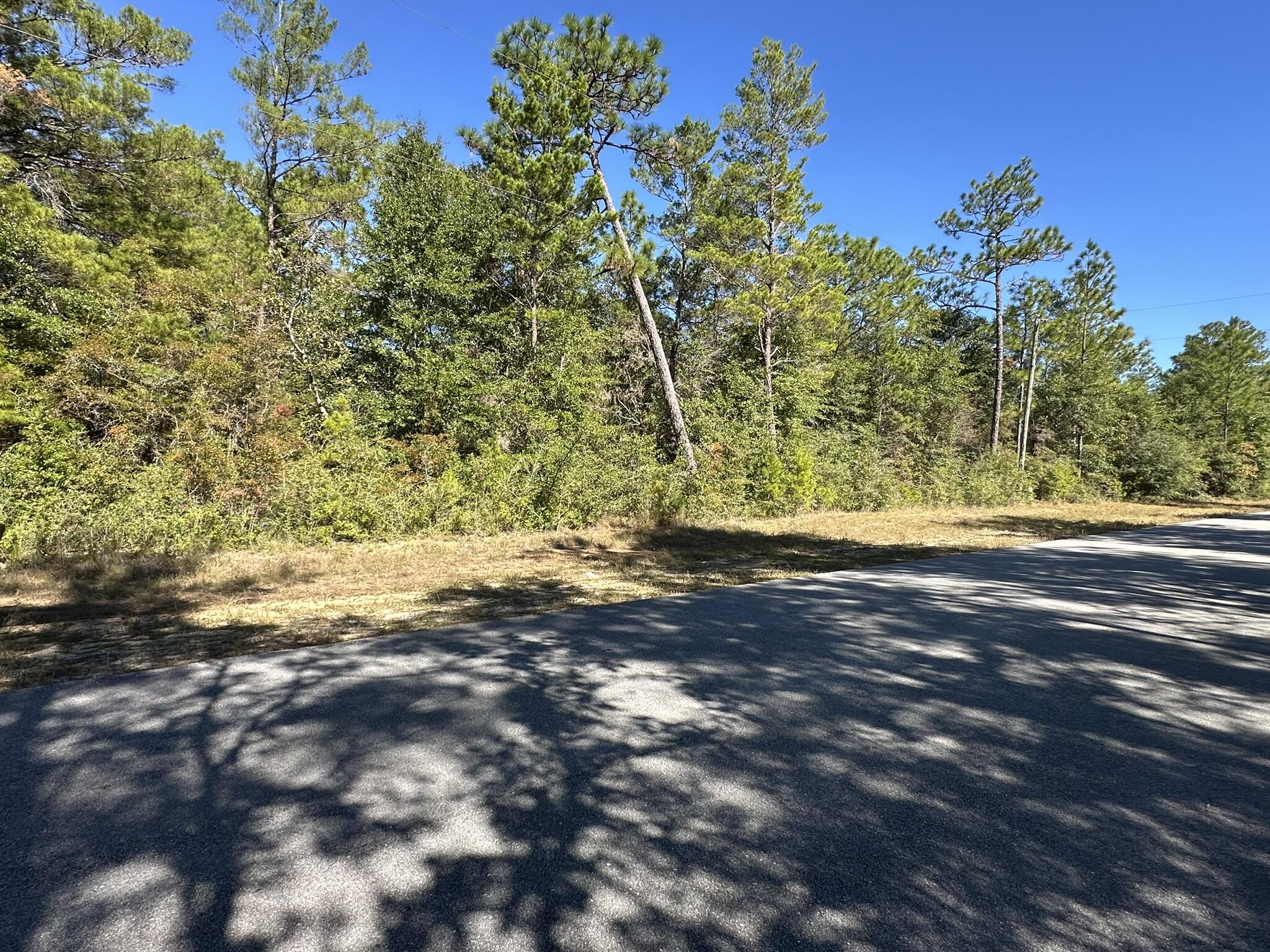 Tbd Bear Head Road Crestview, FL 32539 - Photo 8 of 14 a view of a yard with a tree