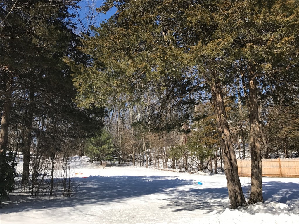 12 Longmeadow Road Lincoln, RI 02865 - Photo 39 of 40 yard
