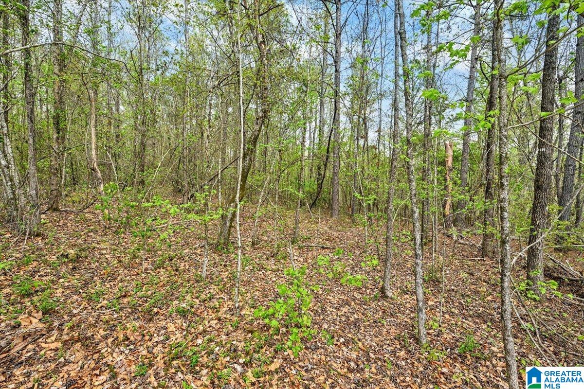 3349 White Road Dora, AL 35062 - Photo 25 of 29