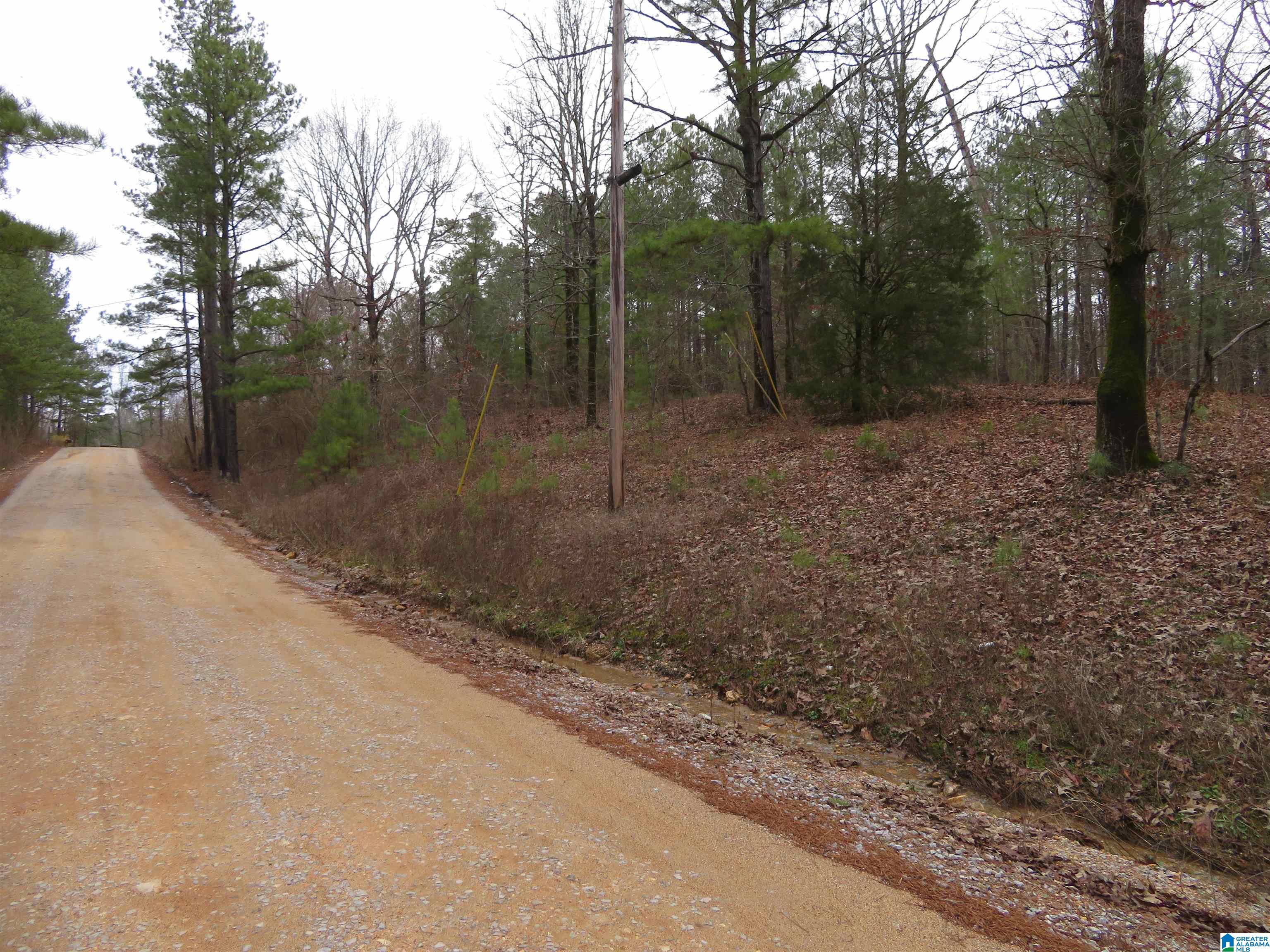 0 Cp Crk Road, Unit ACREAGE West Blocton, AL 35184 - Photo 3 of 6