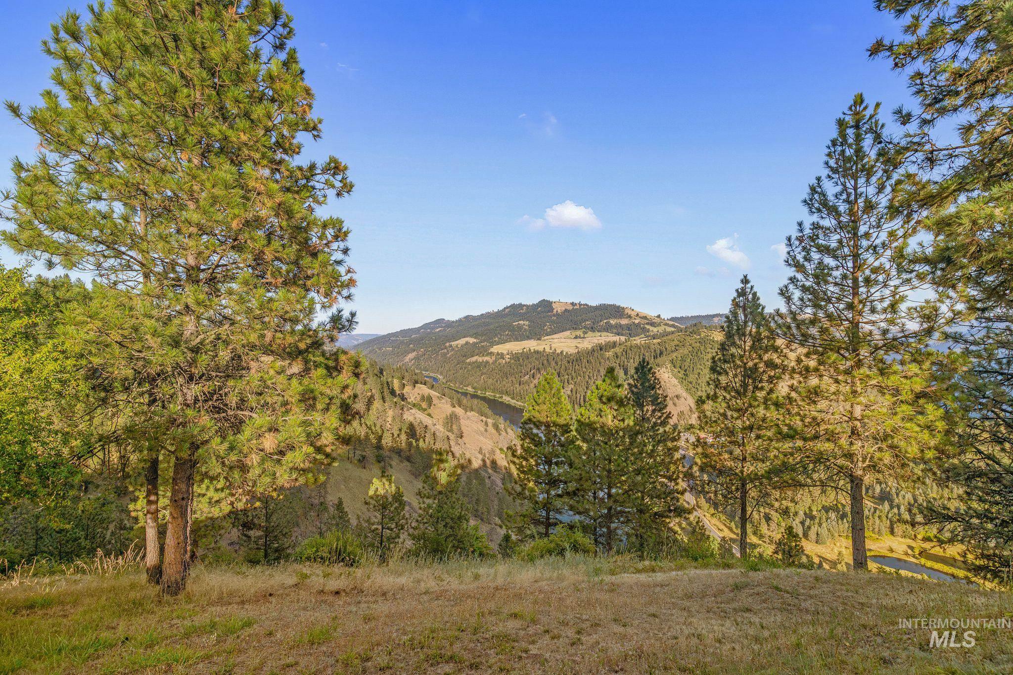 435 River Pointe Lane Lenore, ID 83541 - Photo 42 of 50 Expansive mountain landscape featuring varied tree species and clear skies. Potential additional building site