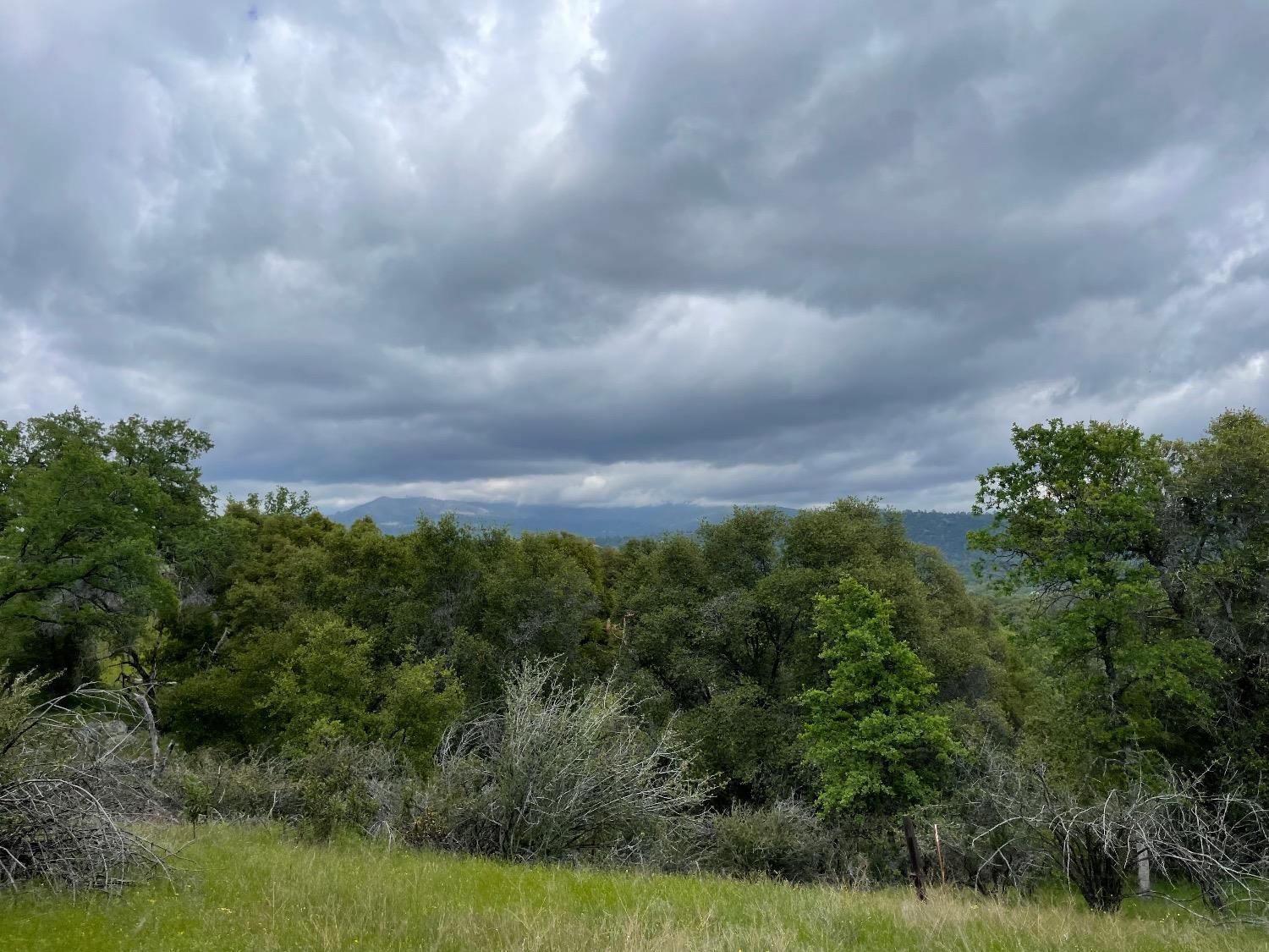 4836 Moonshadow Road Mariposa, CA 95338 - Photo 23 of 23 Gallery Image 23