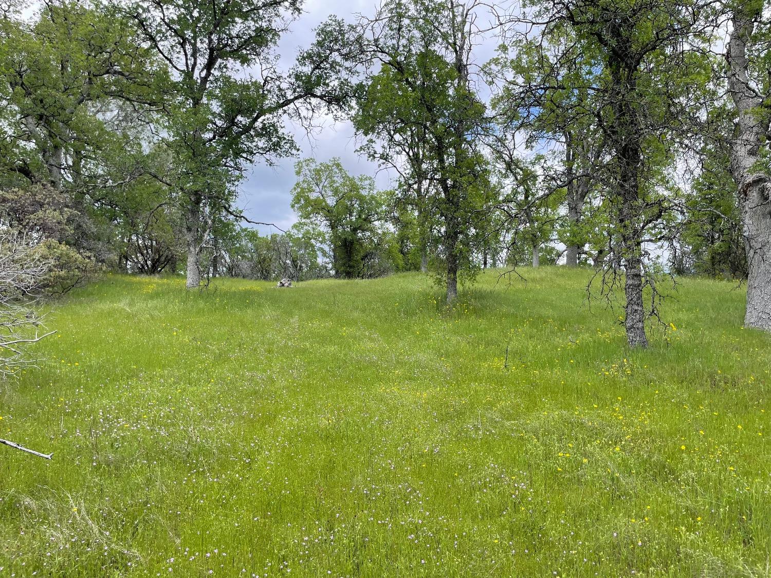 4836 Moonshadow Road Mariposa, CA 95338 - Photo 4 of 23 Gallery Image 4
