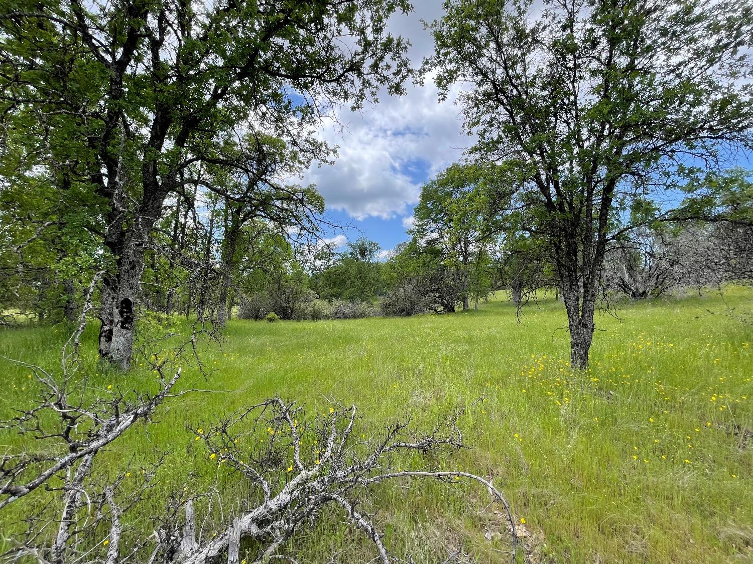 4836 Moonshadow Road Mariposa, CA 95338 - Photo 8 of 23 Gallery Image 8