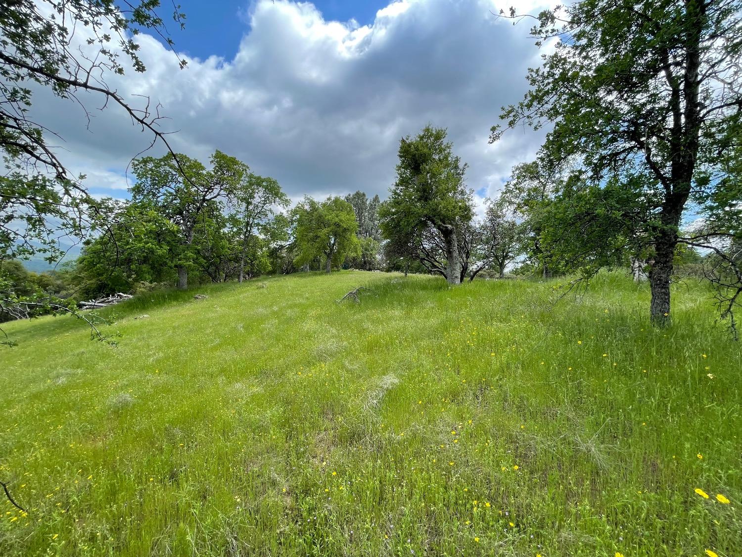 4836 Moonshadow Road Mariposa, CA 95338 - Photo 9 of 23 Gallery Image 9