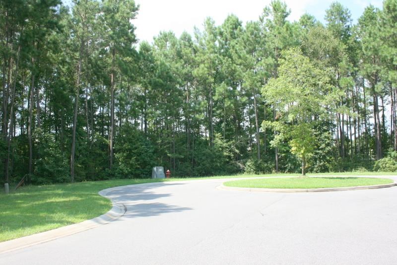 190 Shady Arbor Loop Longs, SC 29568 - Photo 22 of 23 Gallery Image 22