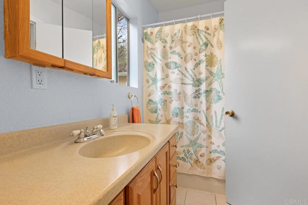 8968 Lakeview Road Lakeside, CA 92040 - Photo 22 of 30 a bathroom with a sink and a mirror