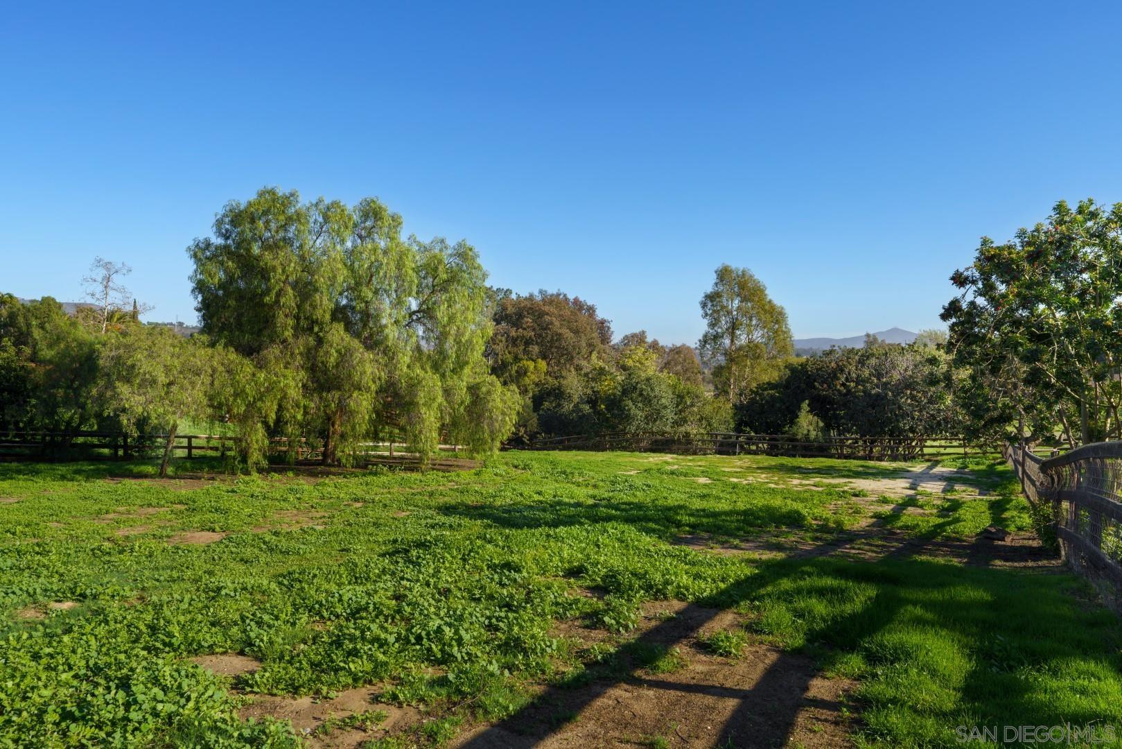 6531 Lago Lindo Rancho Santa Fe, CA 92067 - Photo 29 of 54 a view of a grassy field with trees in the background