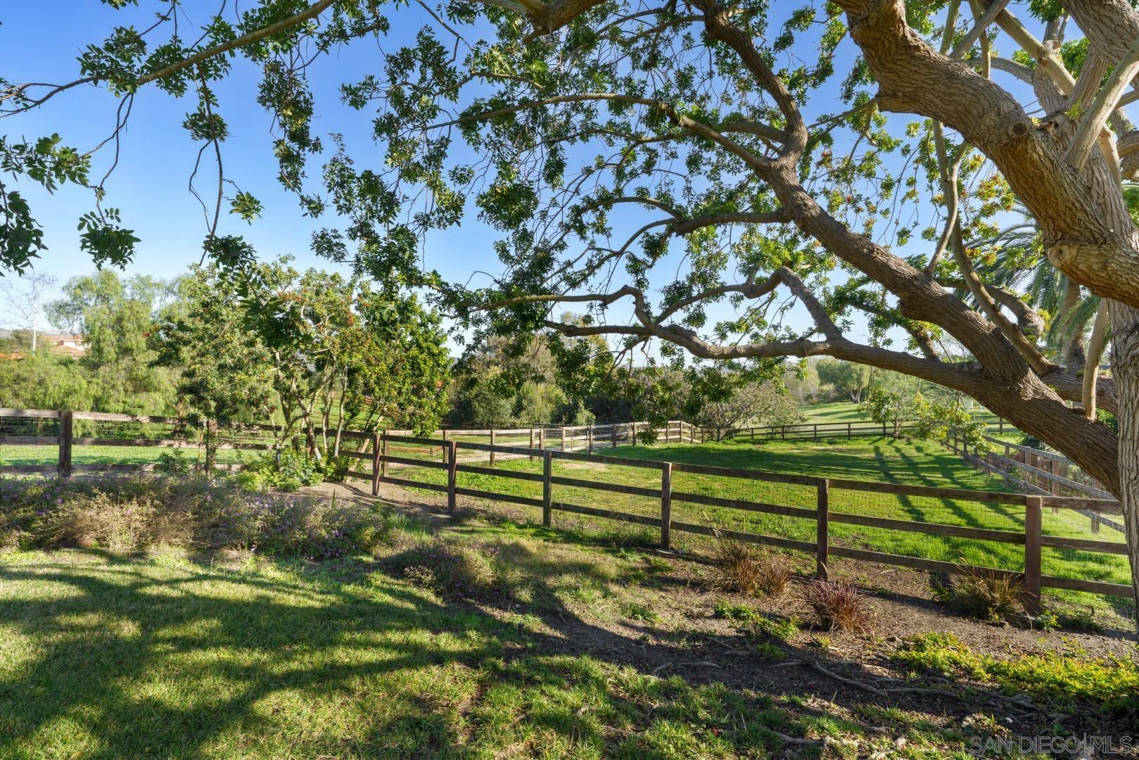 6531 Lago Lindo Rancho Santa Fe, CA 92067 - Photo 32 of 54 a view of a bench in a garden