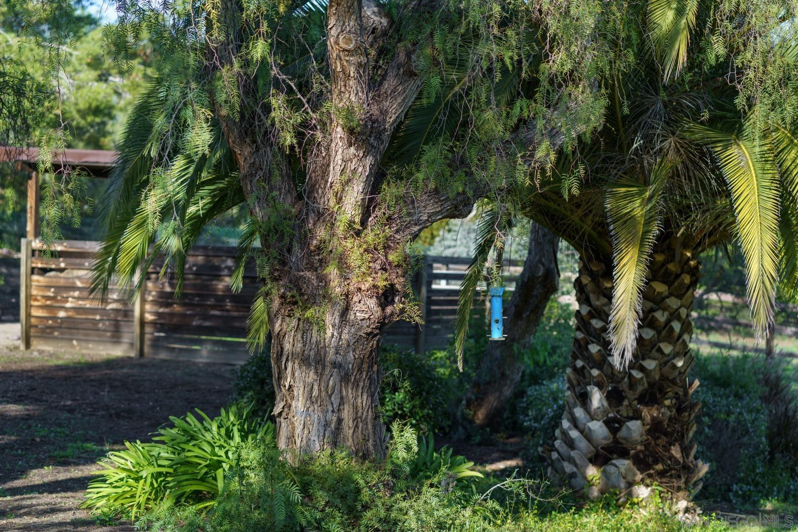 6531 Lago Lindo Rancho Santa Fe, CA 92067 - Photo 39 of 54 a view of outdoor space and yard