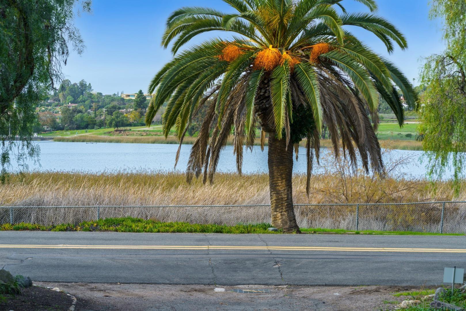 6531 Lago Lindo Rancho Santa Fe, CA 92067 - Photo 53 of 54 a view of a palm trees next to a yard
