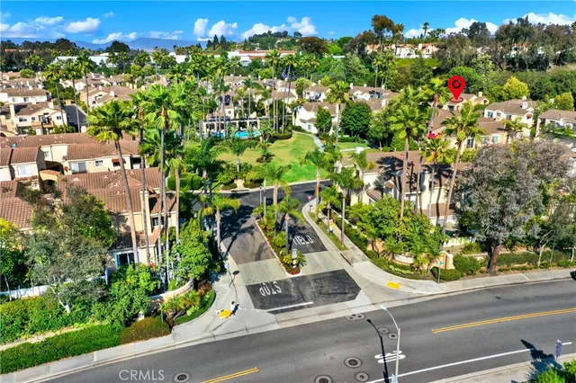 a view of a yard with flower plants