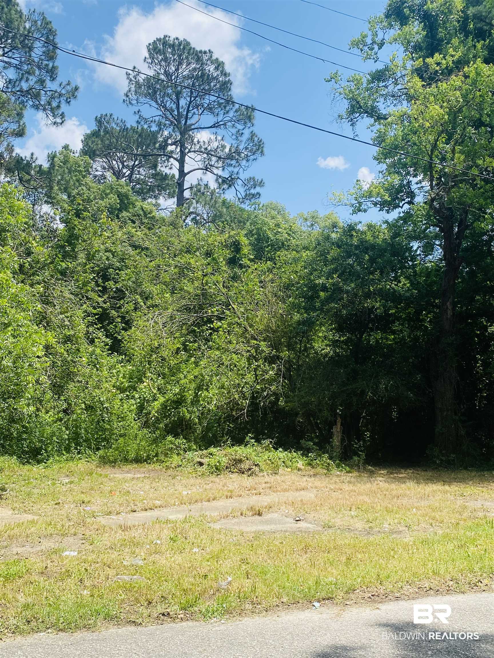421 West Foch Street Mobile, AL 36610 - Photo 3 of 13
