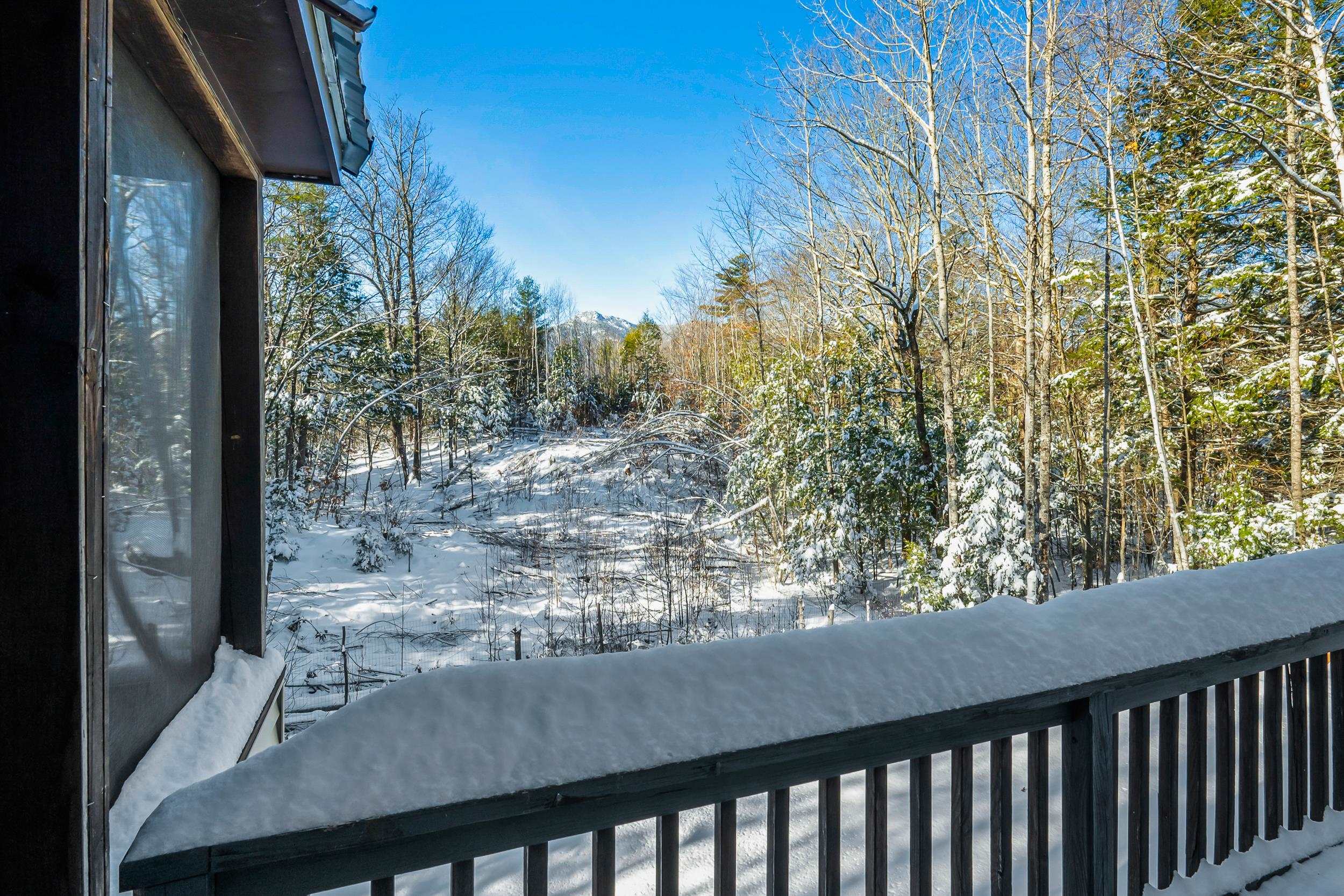 8 Ross Farm Road Albany, NH 03818 - Photo 45 of 50