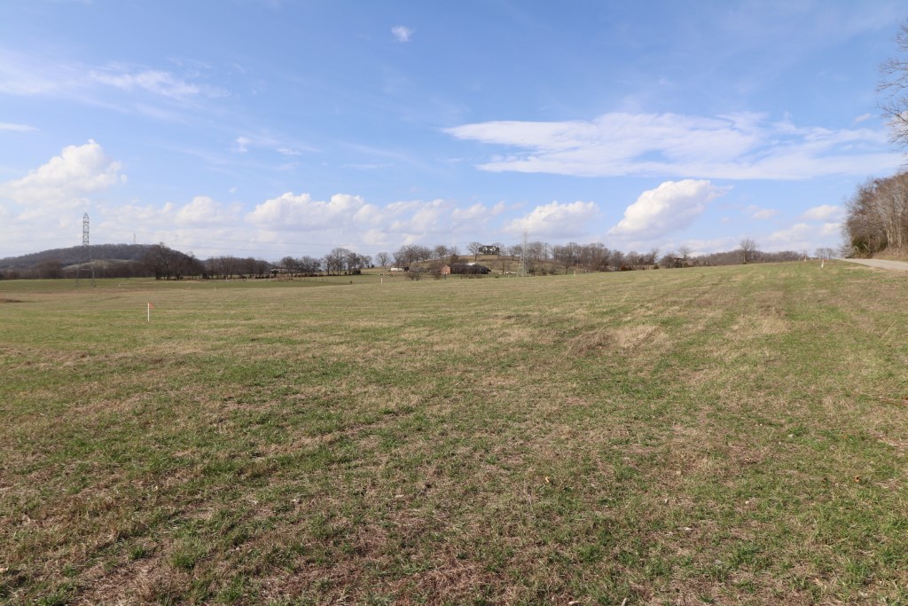 3 Walnut Grove Road Hartsville, TN 37074 - Photo 5 of 10 Gallery Image 5