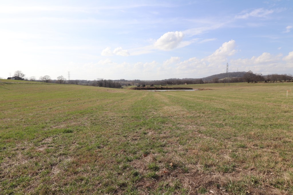 3 Walnut Grove Road Hartsville, TN 37074 - Photo 6 of 10 Gallery Image 6