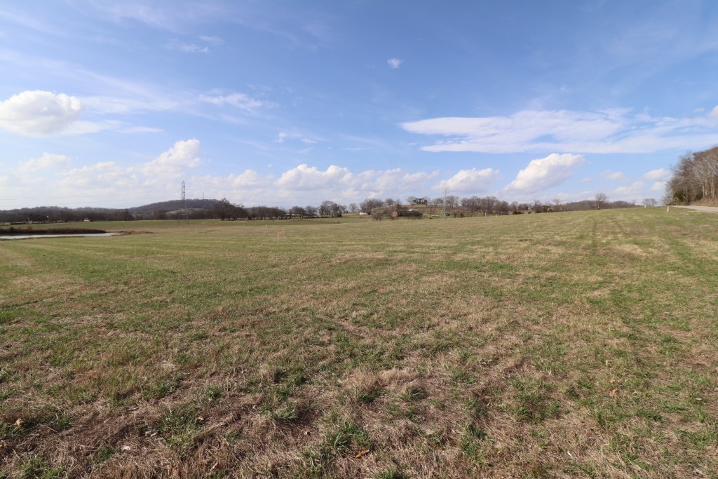 3 Walnut Grove Road Hartsville, TN 37074 - Photo 7 of 10 Gallery Image 7