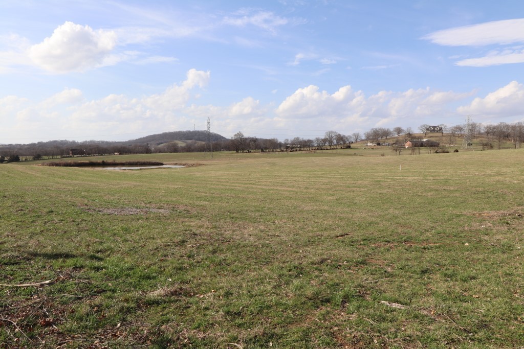 3 Walnut Grove Road Hartsville, TN 37074 - Photo 8 of 10 Gallery Image 8