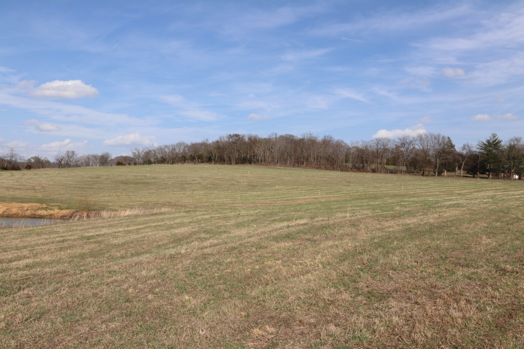 3 Walnut Grove Road Hartsville, TN 37074 - Photo 9 of 10 Gallery Image 9