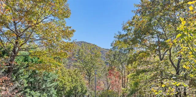 $725,000 | 31 Laurel Ridge Drive, Otto, NC 28763