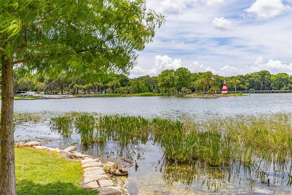 367 August Fern Loop Mount Dora, FL 32757 - Photo 71 of 90