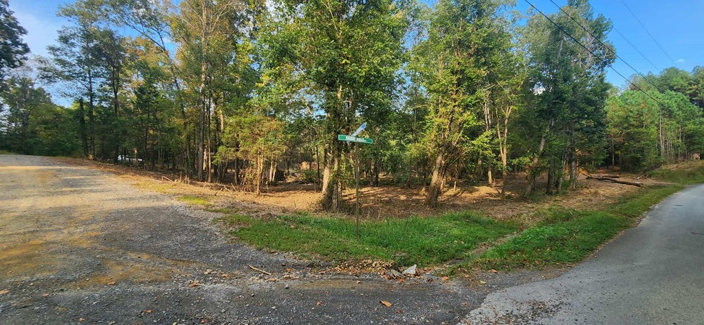 252 Beatrice Court, Unit 69 Ranger, GA 30734 - Photo 5 of 11 Gallery Image 5