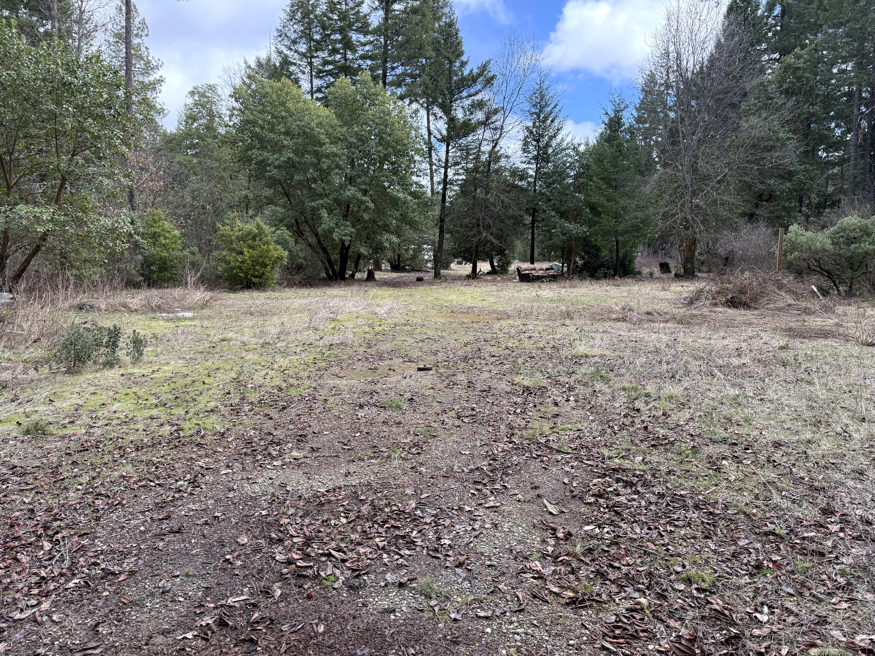 3779 Dick George Road Cave Junction, OR 97523 - Photo 2 of 8 Mix of meadow and trees. Lots of sunshine thru the middle of meadow area.