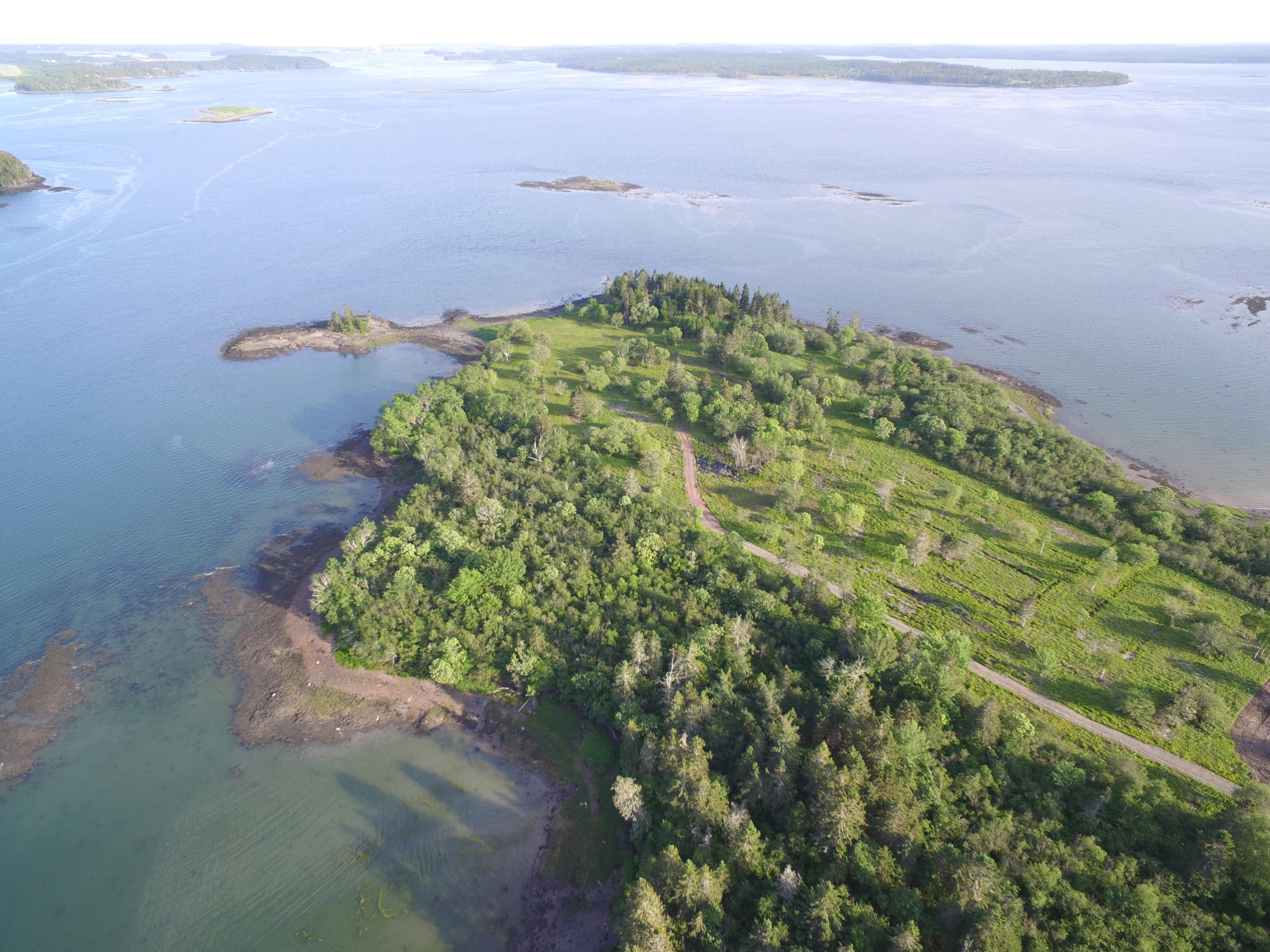 Tbd Tbd Road Perry, ME 04667 - Photo 12 of 29 DJI_0072