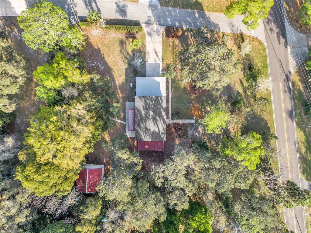 1610 Glenwood Road DeLand, FL 32720 - Photo 33 of 35 a view of a flower arrangement in backyard