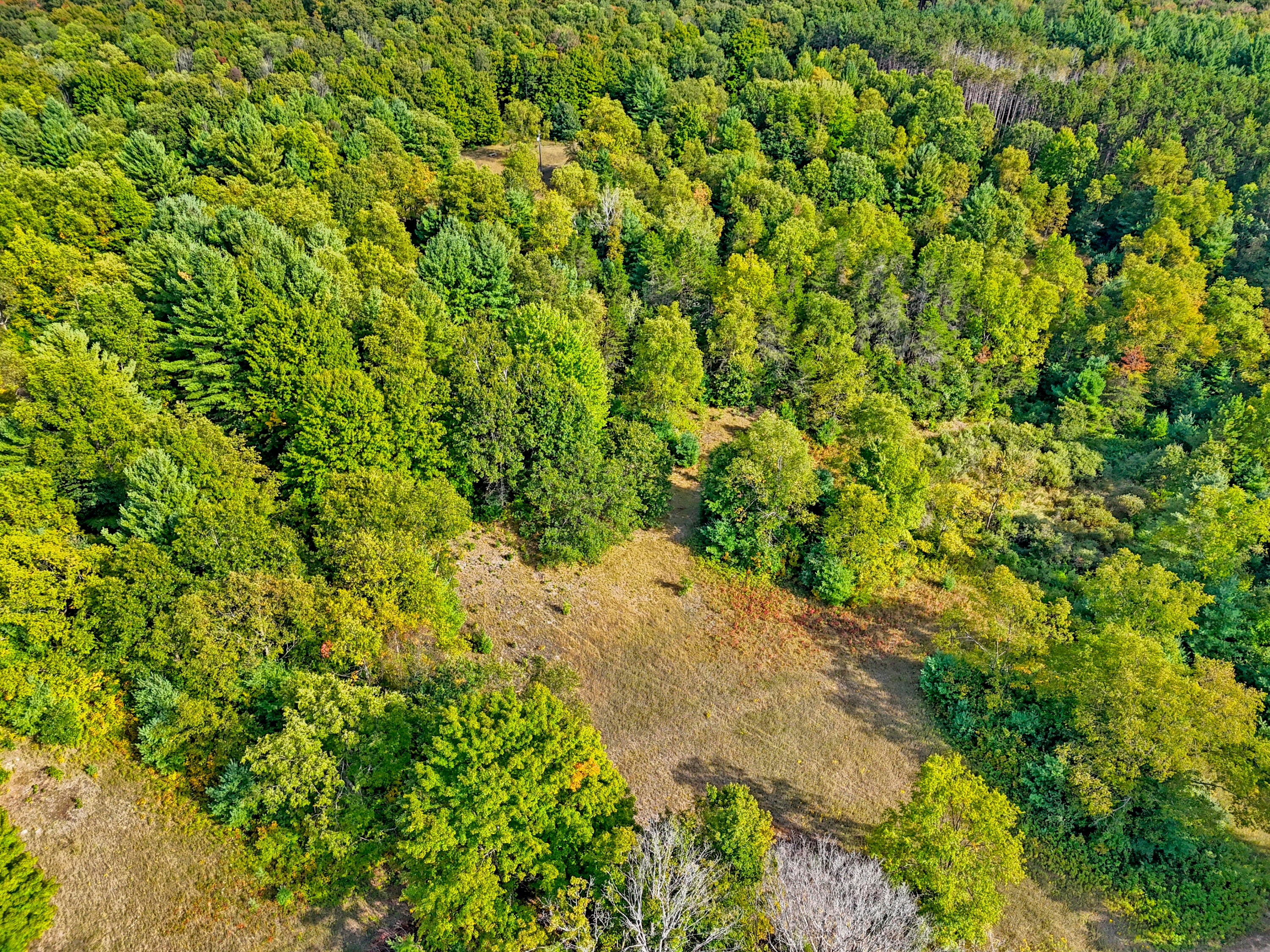 1464 North Raymond Road Luther, MI 49656 - Photo 20 of 31 DJI_20250910050122_0501_D