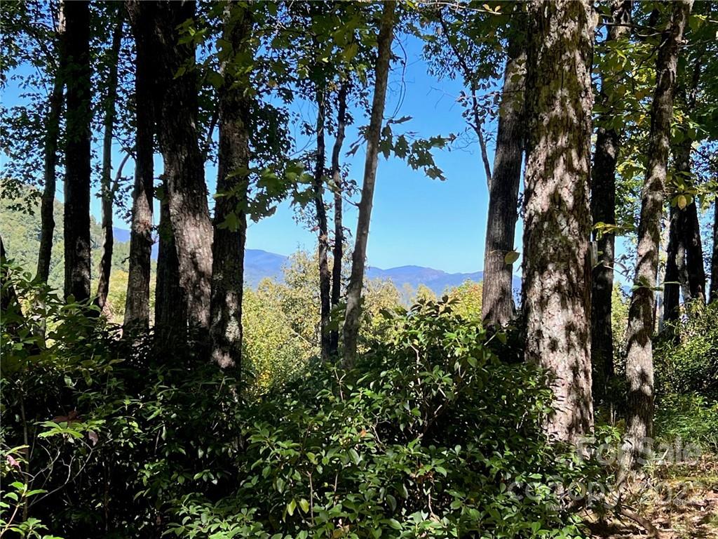 Tbd Tbd Oakridge Road, Unit 16 Rosman, NC 28772 - Photo 2 of 6 a view of a lake