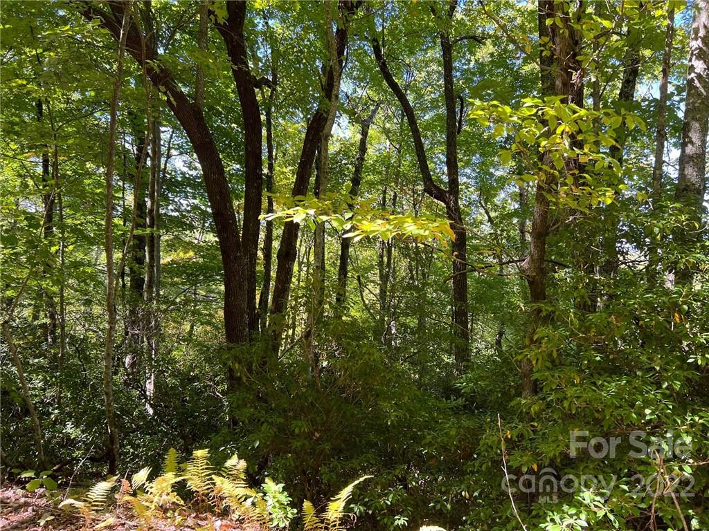 Tbd Tbd Oakridge Road, Unit 16 Rosman, NC 28772 - Photo 3 of 6 a view of an outdoor space
